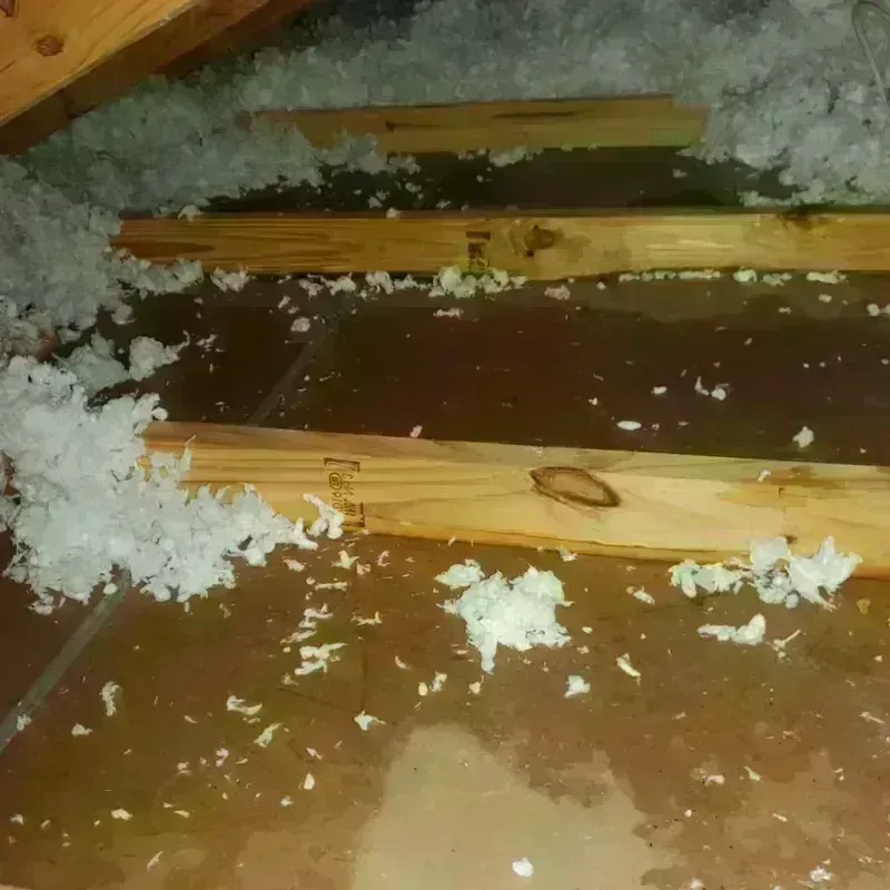 Attic Water Damage in Vallejo, CA