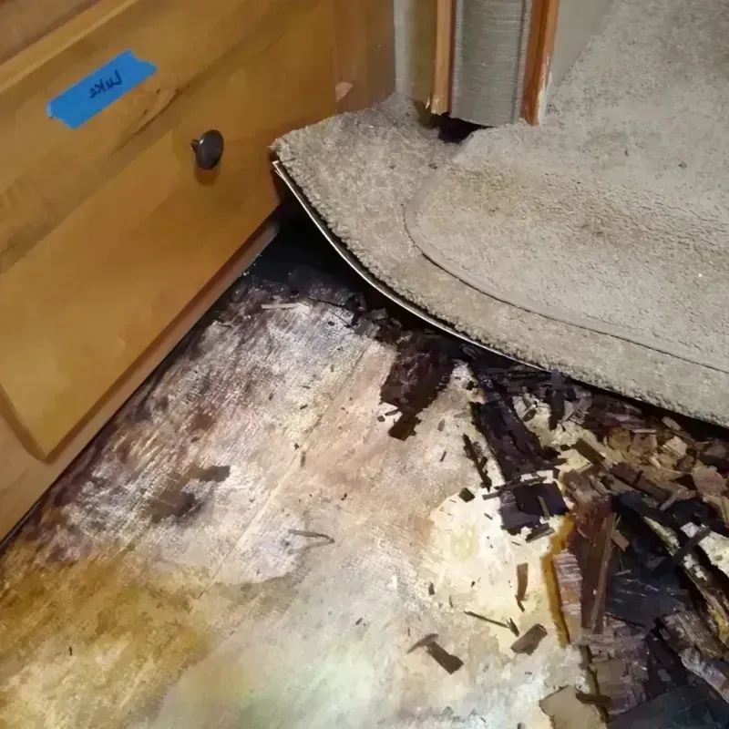 Wood Floor Water Damage in Vallejo, CA